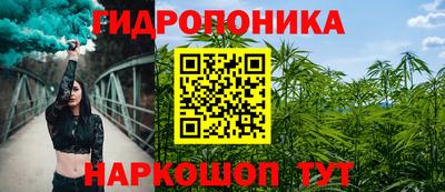 эйфоретик Можга